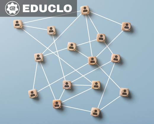 Institutional network visual
